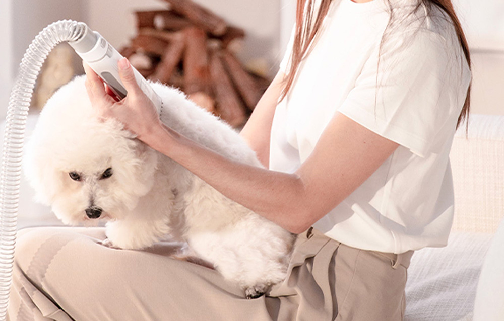 PetKit AirClipper 5-in-1 kutyagondozó készlet 2