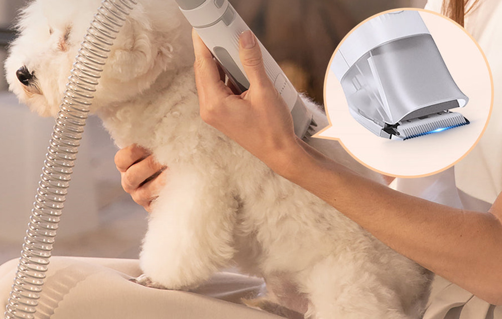 PetKit AirClipper 5-in-1 kutyagondozó készlet 3