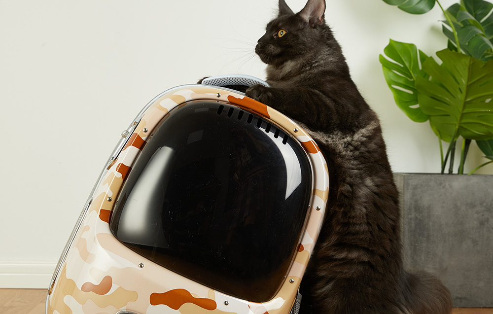 PetKit Breezy 2 kisállat hátizsák (Desert Moro) 6