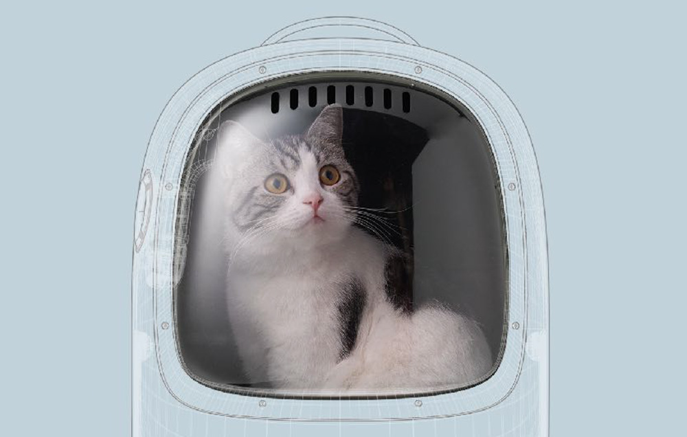 PetKit Breezy 2 kisállat hátizsák (zöld) 5