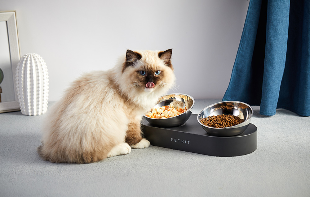 Petkit Fresh Nano Kutya és macska tál 2