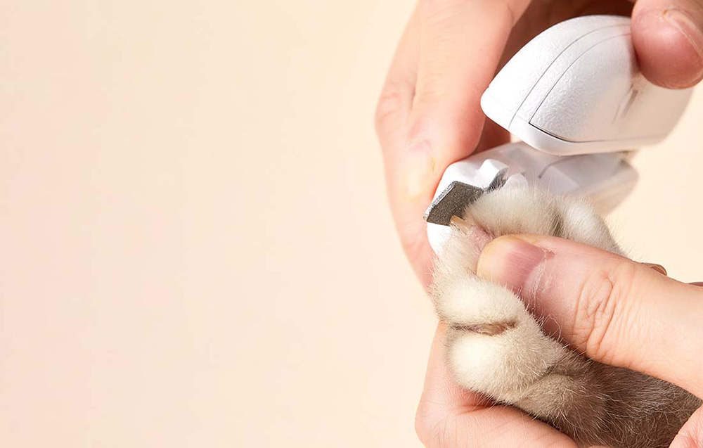 PetKit LED körömcsipesz 5