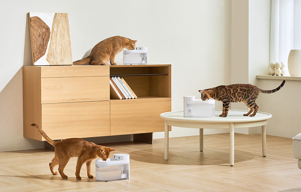 Catlink Pure 3 intelligens kutya, macska itató 2