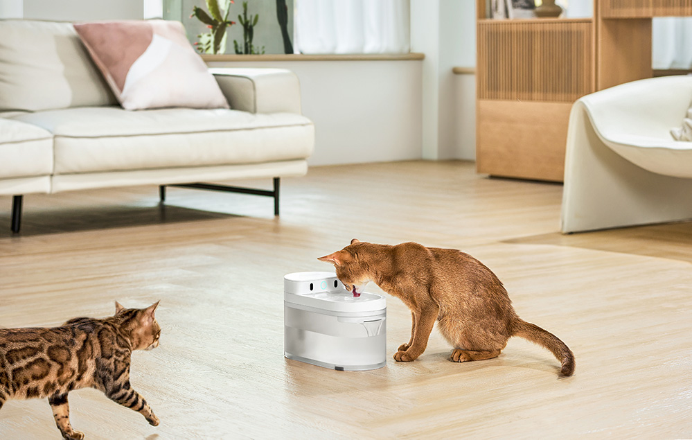 Catlink Pure 3 intelligens kutya, macska itató 3