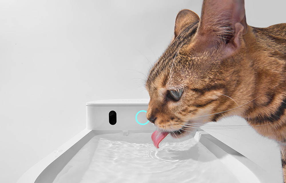Catlink Pure 3 intelligens kutya, macska itató 6