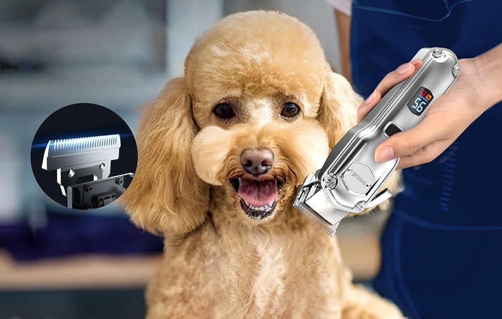 Kisállat nyírógép készlet Oneisall RFC-676 + P20 2