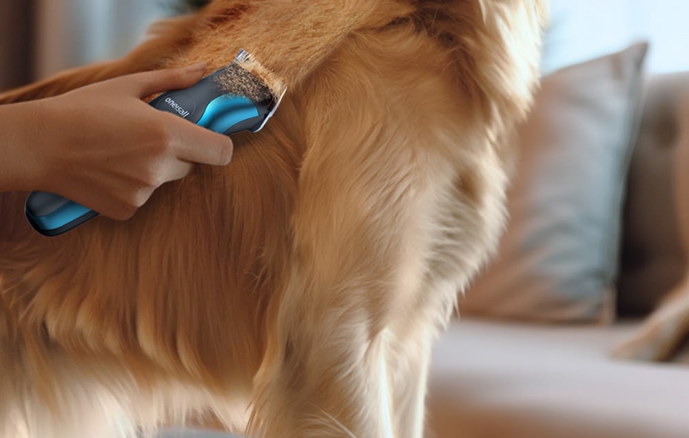 Oneisall DTJ-002 kisállat trimmer 2