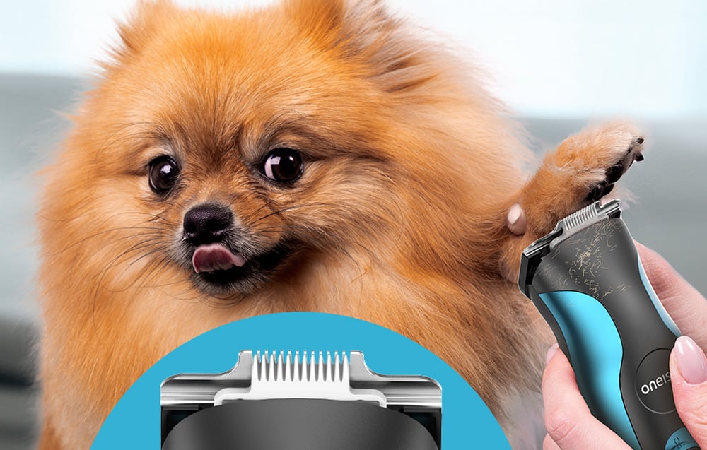 Oneisall DTJ-002 kisállat trimmer 3