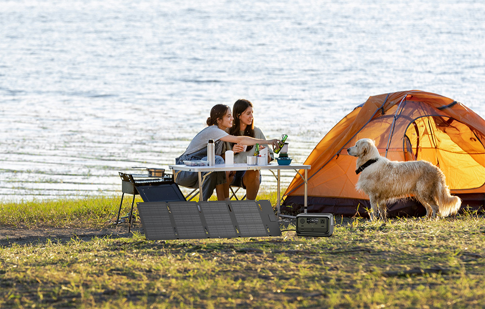 Hordozható összecsukható napelem EcoFlow 60W (USB-C) 1